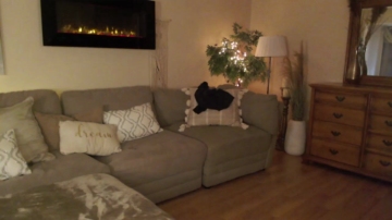 Stacimarierose  09-11-2021